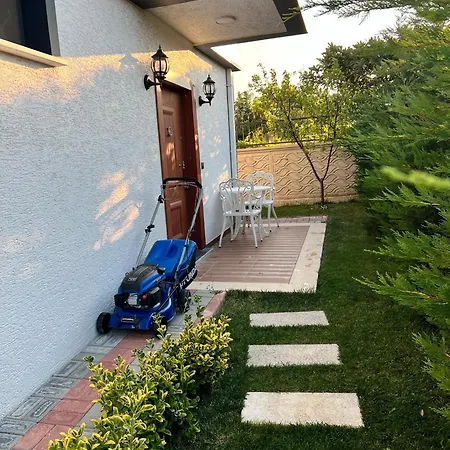 Villa The Of