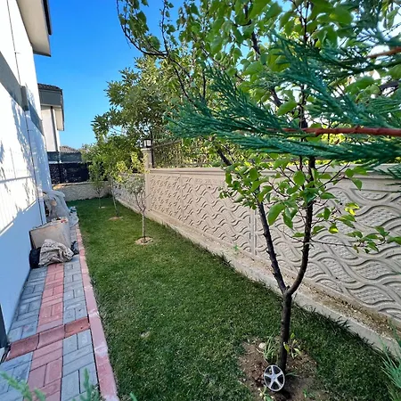 Villa The Of